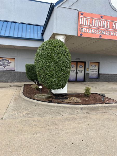 Business entrance bed with fresh mulch, edging, and a shaped shrub